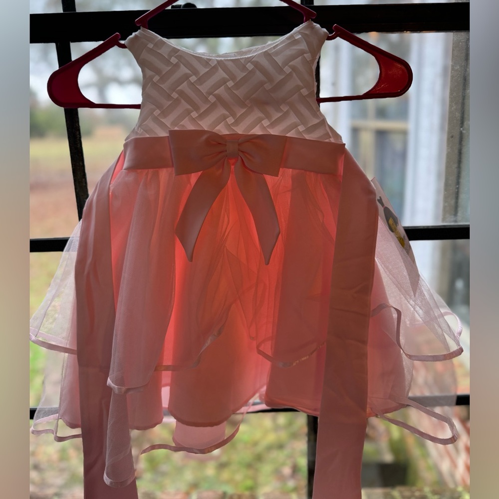 Rare editions 2t dress